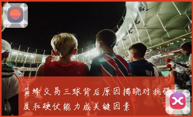 黄蜂交易三球背后原因揭晓对抗强度和硬仗能力成关键因素